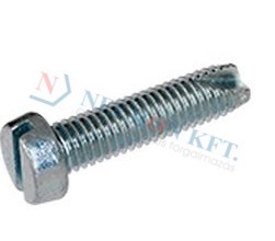 Slotted sheese head thread cutting screws type 2 1017