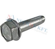 Hex head thread forming screws ~type D, metric thread, with flange 10812
