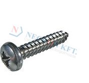 Pozi pan head tapping screws form Z, with cone end type C 13259