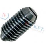 Spring plungers, with bolt and slot, normal spring pressure 13365