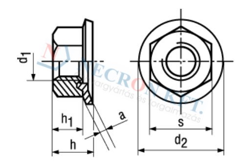 Hexagon nuts with conical spring washer 1365