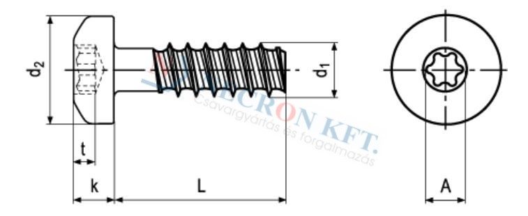 DELTA PT® pan head screws with Torx plus® / Autosert® 20166