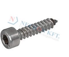 Hex socket head cap tapping screws with cone end 5359