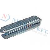 Slotted set screws with cone point 5531