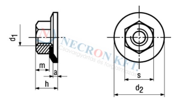 Hexagon nuts with conical spring washer 712