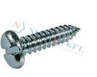 Slotted pan head tapping screws with cone end type C 941